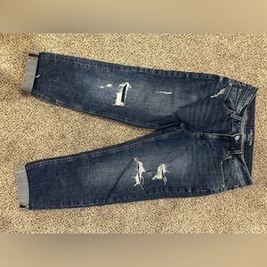 Maurices Men's Dark Blue Distressed Jeans